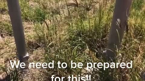 Ravenshoe, Australia Setting Up Control Blockades For The Next Phase Of The Agenda