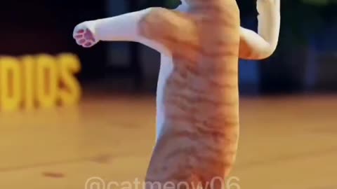 cat dance | #shorts #cat #viral #trending