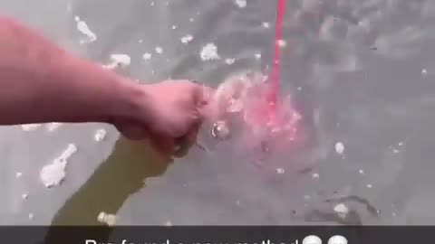 Piranha Fishing