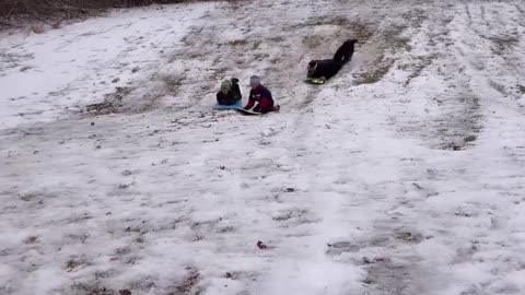 Sledding in Ivy Ridge - Rose Rouge - St Germain