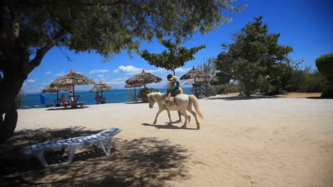 To rest your nerves, you must see this magnificence ❤️cebu beach resorts♥️