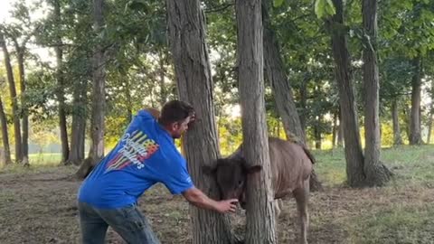 Well… Just another evening on the farm 😂