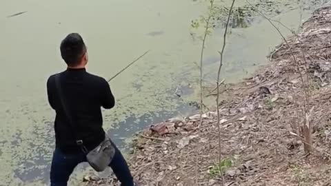 Unbelievable Fishing Snake Head FishAwesome FISHINGMurrell Fishes to Catch Flood water