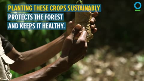 Farmers in Eastern Madagascar Stand up to Climate Change