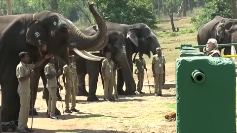 PM Narendra Modi visit to Bandipur Mudumalai reserves Elephant feeding Wildlife safari