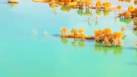 #foryou #beauty #lake #autumn #tree #like #scenery