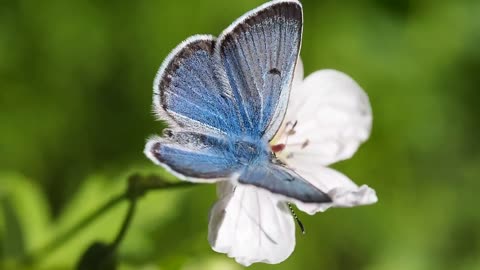 The views are breathtaking, wonderful, and a beautiful butterfly