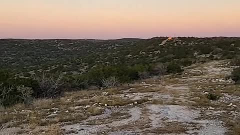 View in Texas