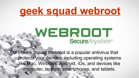 geek squad webroot