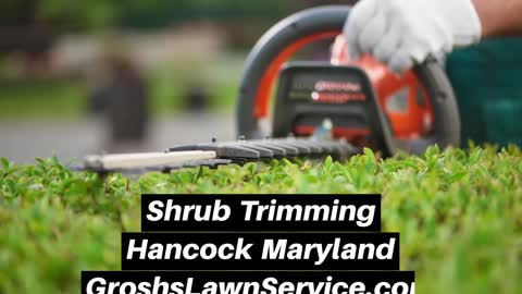 Shrub Trimming Hancock Maryland Landscape The Best