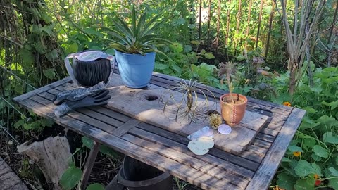 Plant Plus Garden goodies giveaway