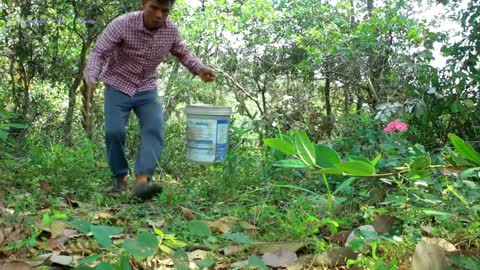 Wild Animals Trap Made of Plastic Containers and Wood - Traditional Wild Animals Trap Work 100%