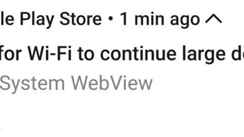 Google Play Store downloading progress network error