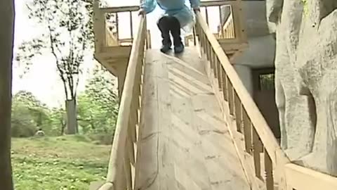 Cute pandas playing on the slide