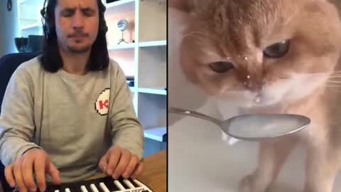 The Kiffness X NumNum Cat (Live Looping Balkan Remix)