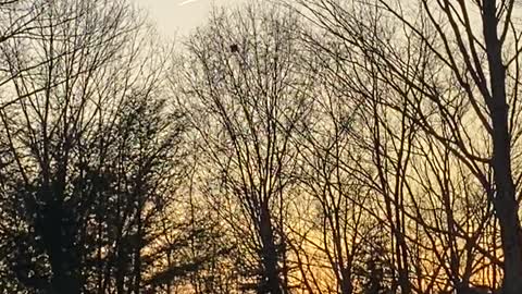 Chemtrailing Western Mass