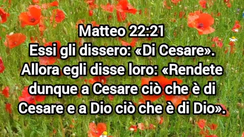 Il voto è un dovere civico da adempiere