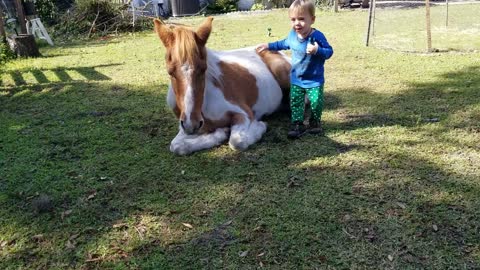 A Boy and a Horse