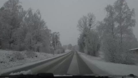 A Family Of Four Deers Crossing A Road Covered With Snow