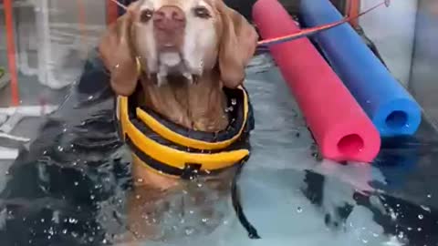 Raphy at Hydrotherapy.