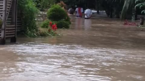 Sungai ciujung banten meluap,sehingga membuat banjir ke kampung"#save banten indonesia #