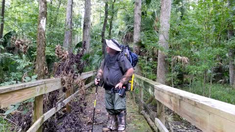 A Video Idiot Backpacking the Florida Trail Marshall Swamp Section at 96 Degrees in Florida