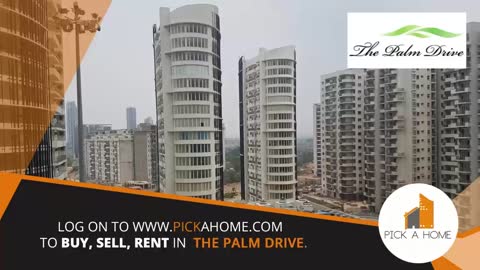 The Palm Drive Gurgaon