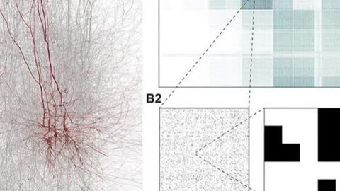 SCIENTISTS DISCOVERED THAT OUR BRAINS CAN PROCESS THE WORLD IN 11 DIMENSIONS