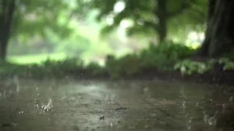 Rain Sounds 1 Hour Rain Thunderstorm Sounds Relaxing Storm Ambience