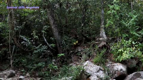 Amazing Girl Catching Big Crocodile in Forest - Cooking Big Crocodile And Eating delicious