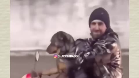 Dog Driving a motorbike