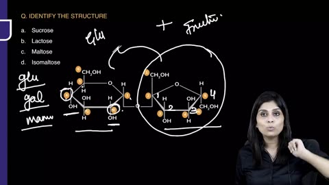 02-01 Classification of Carbohydrates Simple Carbohydrates