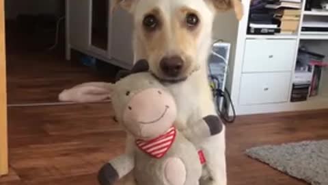 Dog Hugs Stuffed Animal