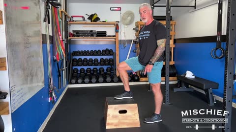 Tips on Box Step Ups - Mischief Strength & Conditioning