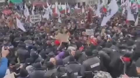 Bulgarians try to storm the parliament and clash with NWO troops in their way