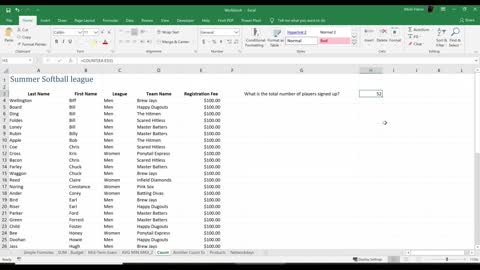 Excel Formulas & Functions Intro: Max, Min, Count Functions, Max, Min, Count Functions