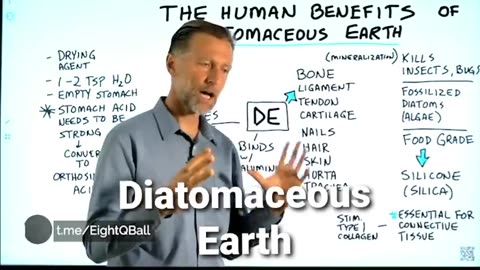 diatomaceous earth