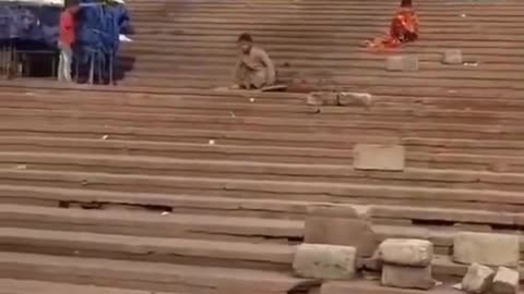 Sliding stairs funny video