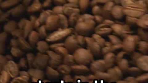 The Coffee Controversy: Elites vs Everyday People