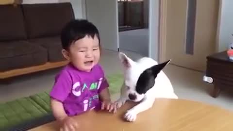 funny videos 2017 - Most funny DOG AND KIDS Videos 2017