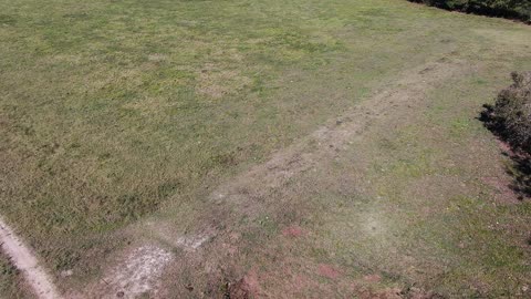 Old Pecan Plantation from 1200ft, Nov16, 2020