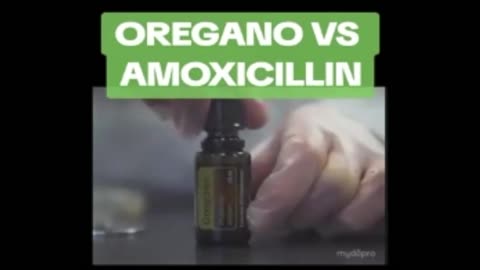 Oil Of Oregano VS Amoxicillin (Antibiotic)