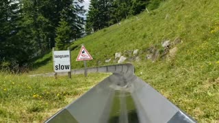 Seeing Switzerland from a Toboggan