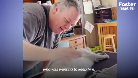 Dog-Person Guy Begs His Wife To Adopt Shelter Cat | The Dodo Foster Diaries