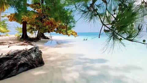 Morning On The Magnificent Beach Of Balabac Island, Philippines.