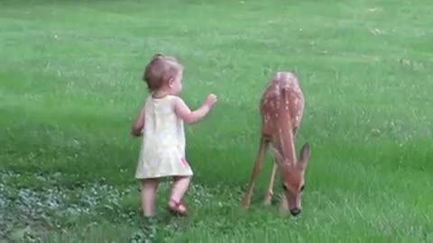 little fawn Little Girl player