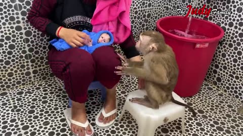 Bathing the monkey