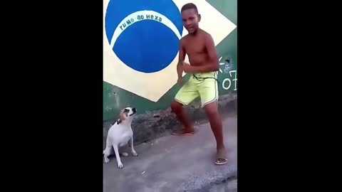 Funny Dogs Dancing And Singing