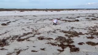 Homeschool beach day