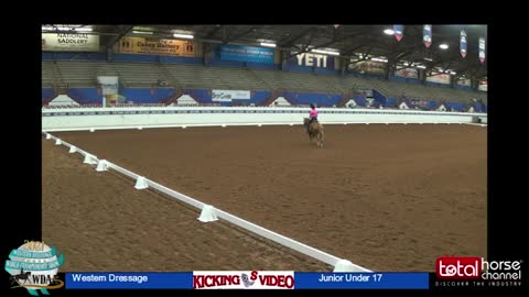 2021 Class 3 WDAA Western Dressage Suitability Walk Jog Lop | Junior Rider